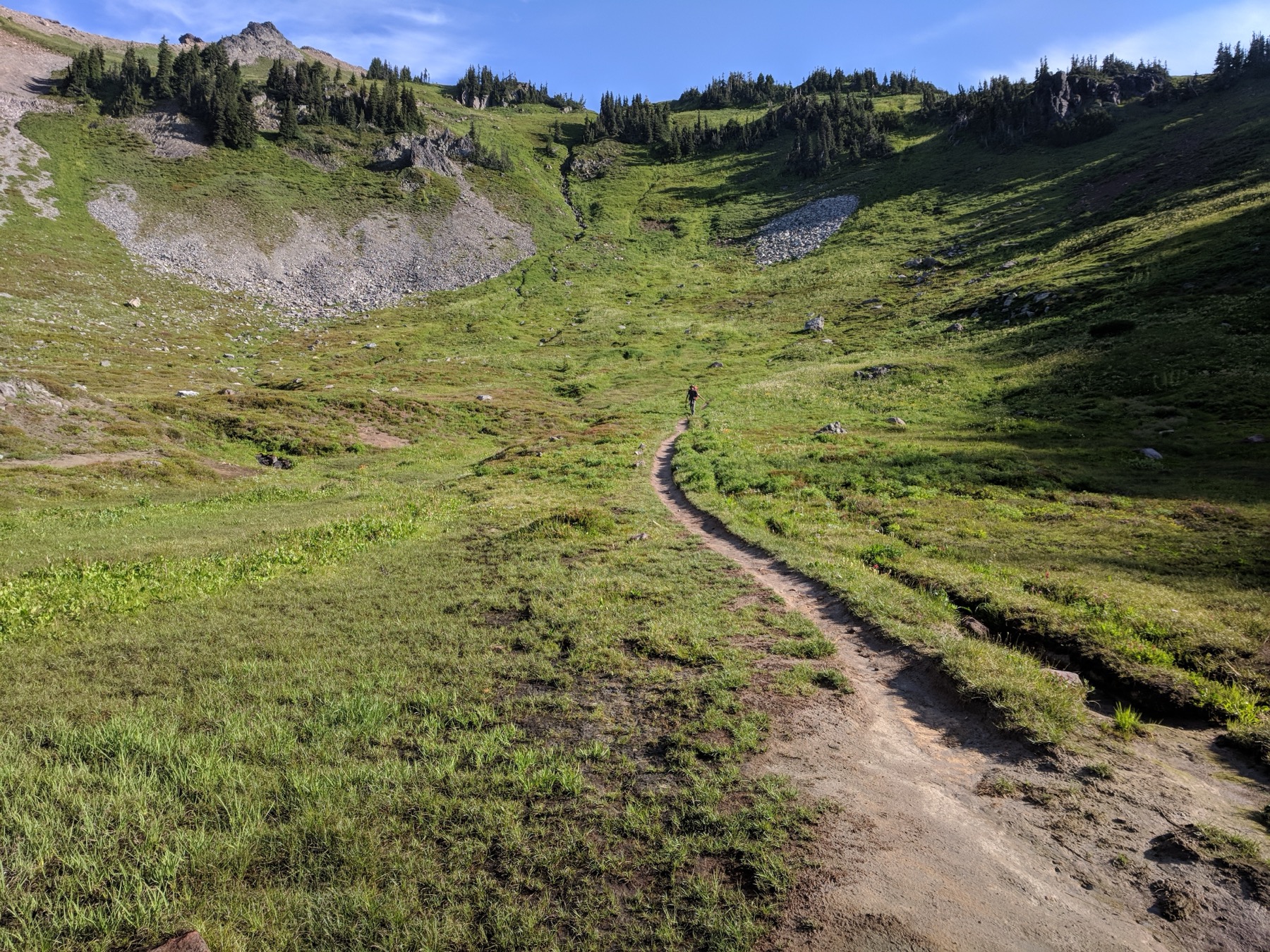 Mountain meadow trail winding through the foothills near Enumclaw